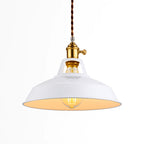 Suspension luminaire
